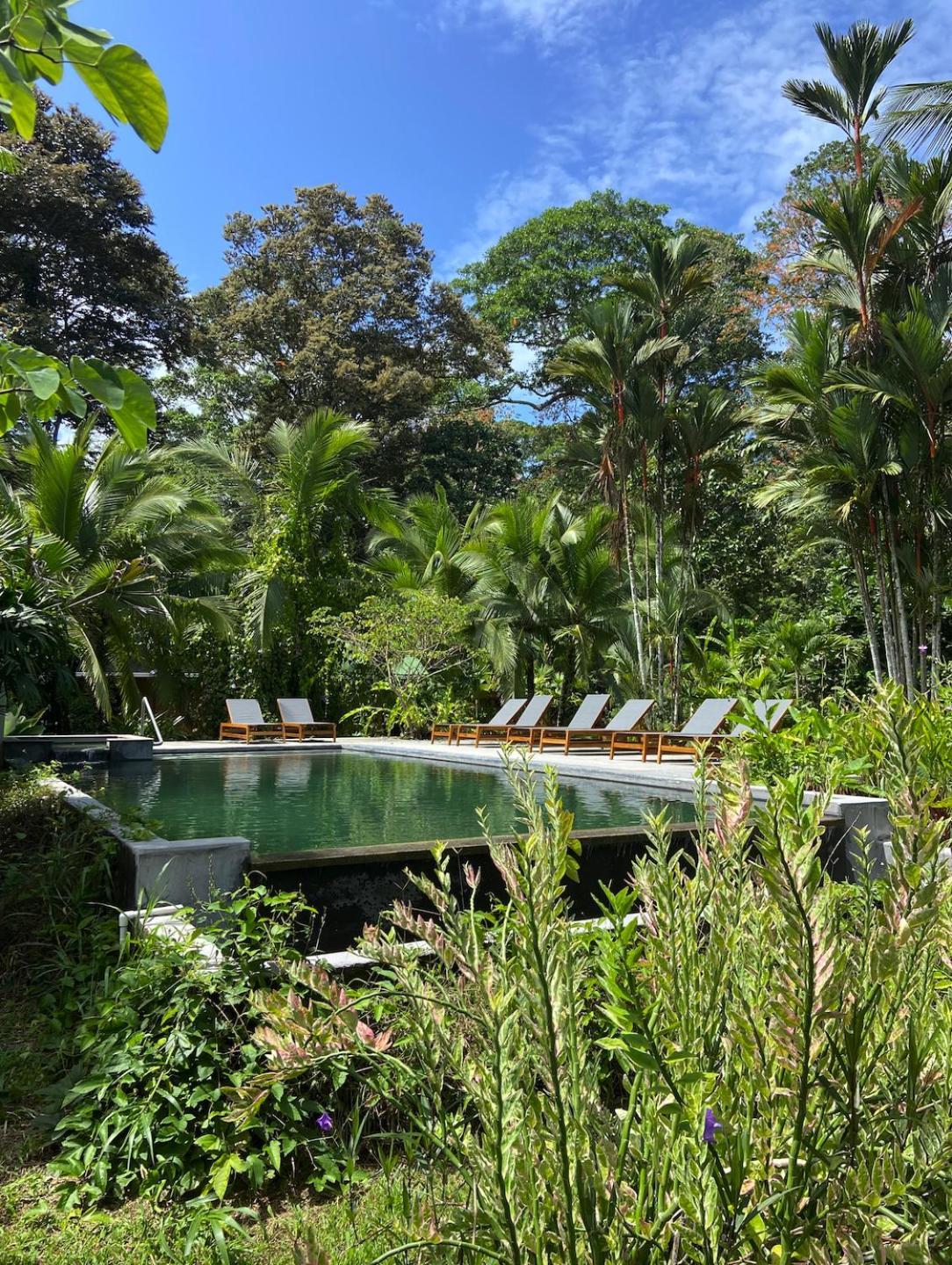 Passion Fruit Lodge Cahuita Exteriör bild