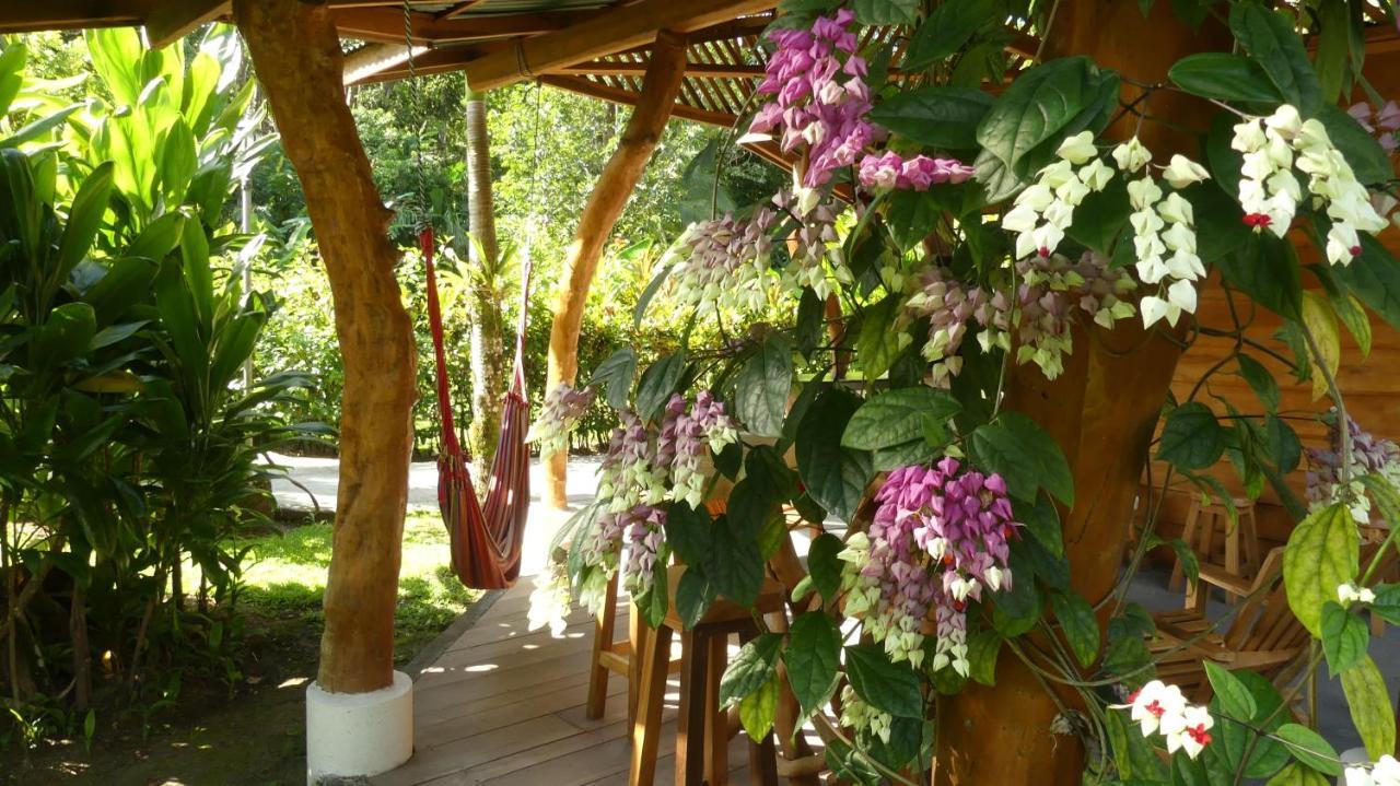 Passion Fruit Lodge Cahuita Exteriör bild